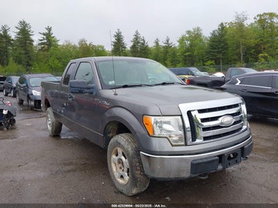 FORD F-150 2009