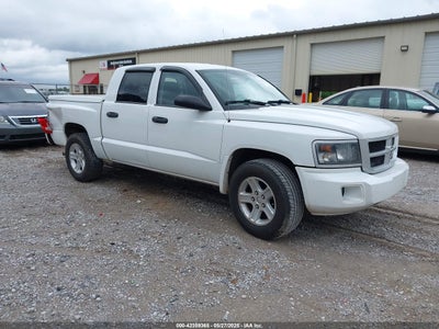 RAM DAKOTA 2011