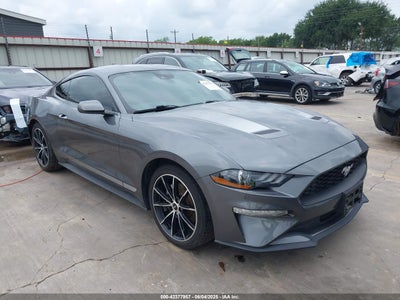 FORD MUSTANG 2021