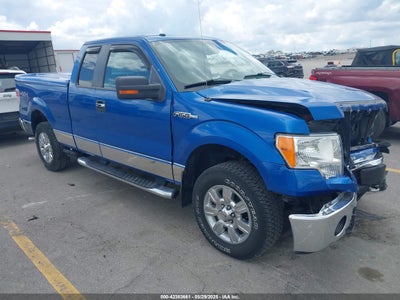 FORD F-150 2010