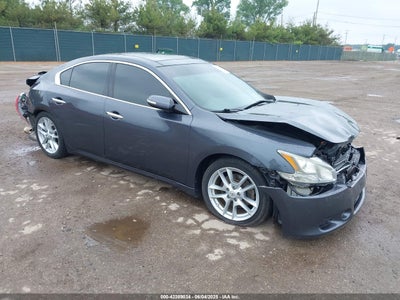 NISSAN MAXIMA 2010
