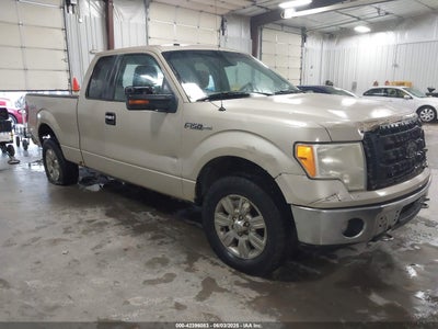 FORD F-150 2009