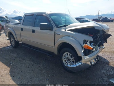 FORD F-150 2009