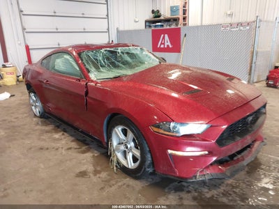 FORD MUSTANG 2019