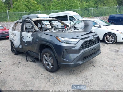 TOYOTA RAV4 2024