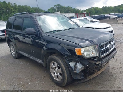 FORD ESCAPE 2010