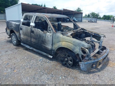 FORD F-150 2013