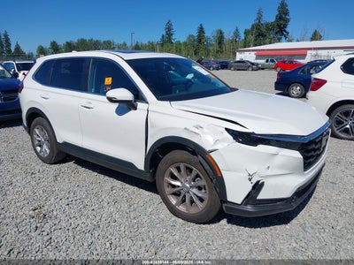 HONDA CR-V 2024