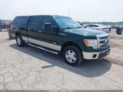 FORD F-150 2013