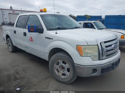 FORD F-150 2010