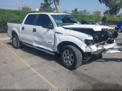 FORD F-150 2014