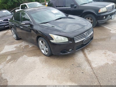 NISSAN MAXIMA 2010