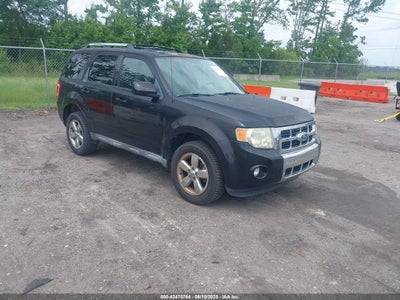 FORD ESCAPE 2010