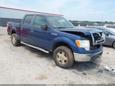 FORD F-150 2010