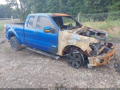 FORD F-150 2013