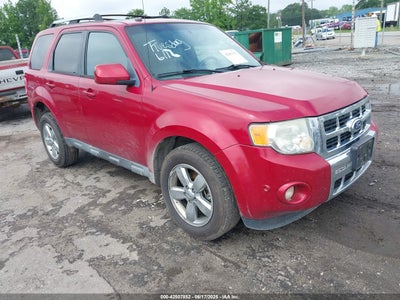 FORD ESCAPE 2010