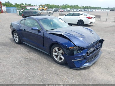 FORD MUSTANG 2019