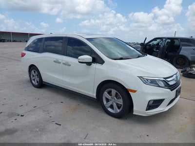 HONDA ODYSSEY 2019