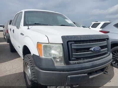 FORD F-150 2014