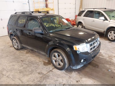 FORD ESCAPE 2010