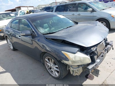 NISSAN MAXIMA 2009