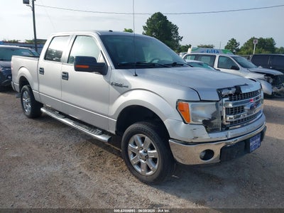 FORD F-150 2014