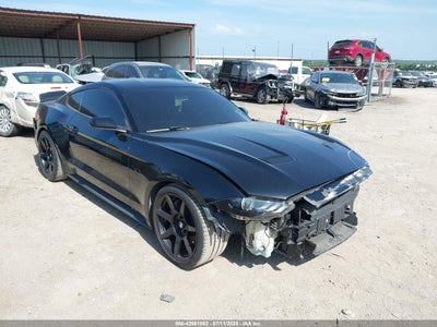 FORD MUSTANG 2019