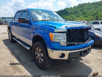 FORD F-150 2010
