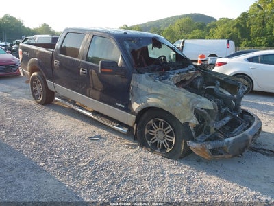 FORD F-150 2013