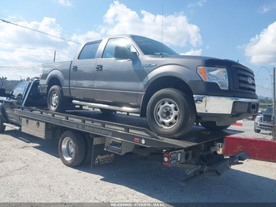 FORD F-150 2010