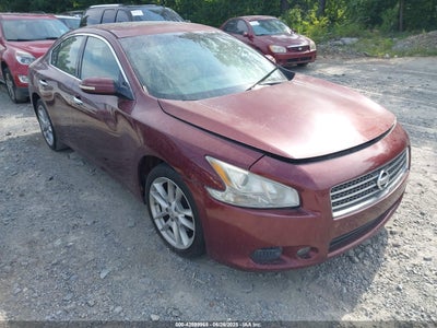 NISSAN MAXIMA 2010