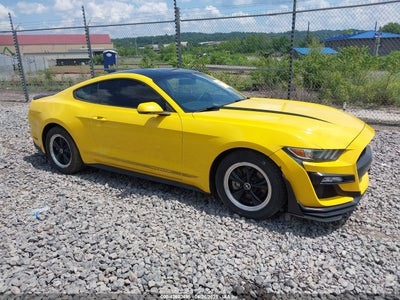 FORD MUSTANG 2017