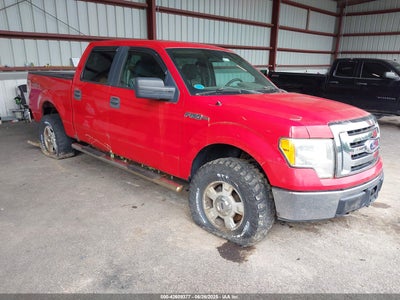 FORD F-150 2010