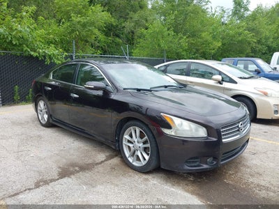NISSAN MAXIMA 2010