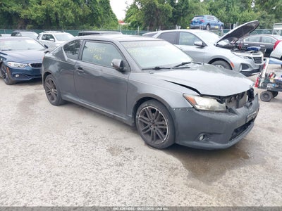 SCION TC 2013