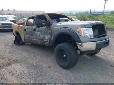 FORD F-150 2009