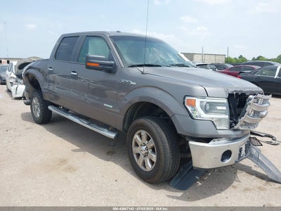 FORD F-150 2014