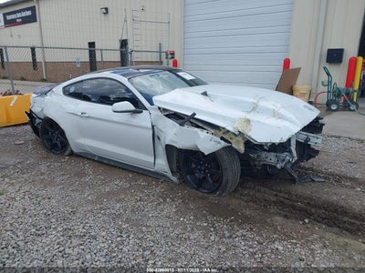 FORD MUSTANG 2019