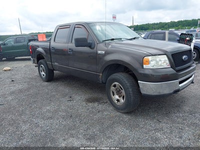 FORD F-150 2006
