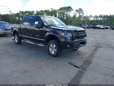 FORD F-150 2009