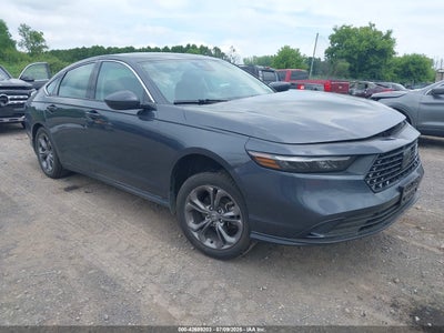 HONDA ACCORD 2024