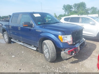 FORD F-150 2010