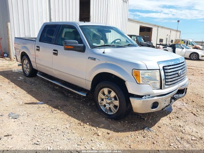 FORD F-150 2010