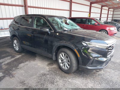 HONDA CR-V 2024