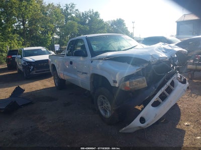 DODGE DAKOTA 2000