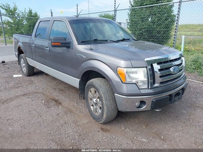 FORD F-150 2009