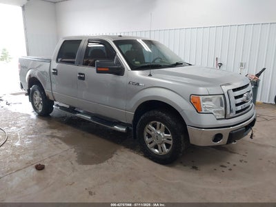 FORD F-150 2009