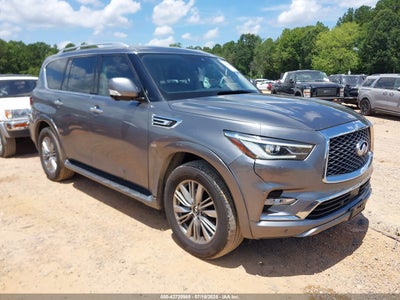 INFINITI QX80 2019