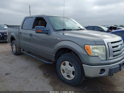 FORD F-150 2010