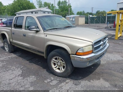 DODGE DAKOTA 2004